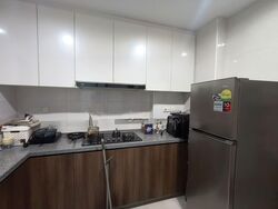 Dover Parkview (D5), Condominium #550377801